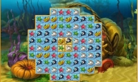 Seasons Under The Sea 