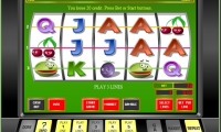 Crazy fruits slots