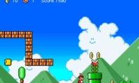 Super Mario Adventure Conquest