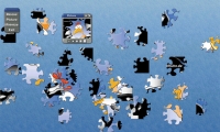 Sumpfhuhn Puzzles 3