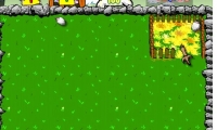 Fellow Sheep