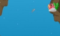 Dolphin Dive