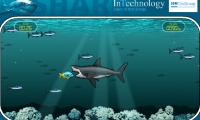 Shark