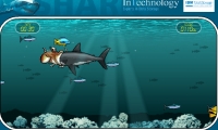 Shark