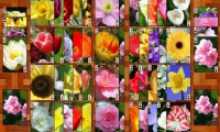 As-Solitaire