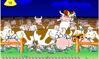 Mad Cows