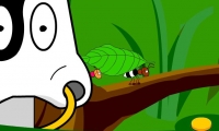 Animal Marathon