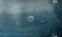 Bubble Section