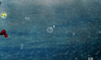 Bubble Section