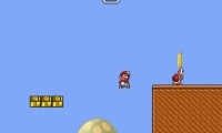 Super Mario Bros: Koopa Chaos