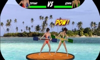 Beach Catfight