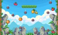 Birdy Fruit