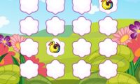 Bright Birds Matching