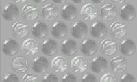 Bubble Wrap