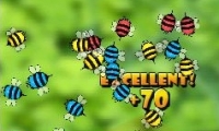Bugs Circle