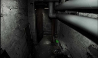 Cellar Door
