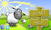 Clouds & Sheep