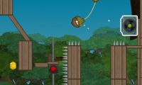Doctor Acorn