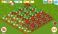 Farm Story