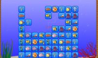 Fish Connect