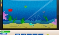 Fish Fun