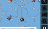 Greedy Spiders Free