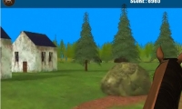 Horse Jumping Challenge