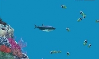Hungry Shark 3 Free!