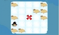 Ice Floe