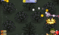 Mushroom Madness 3