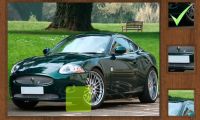 Parts of Picture: Jaguar