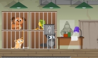 Raccoons Break Out