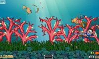 Sea-food and Shoot It