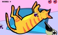 Sleepy Cat