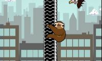 Slippery Sloth