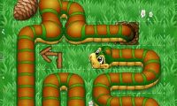 Snakes & Apples