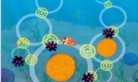 Speedy Fish