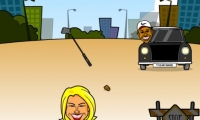 Tiger Woods Car Crash