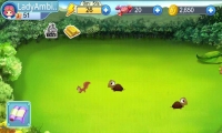 Tiny Farm