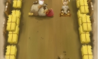 Valdevez Tournament
