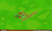Village Fun
