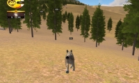 Wolf Quest