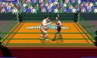 Wrestling Legends