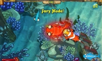Zippy Fish