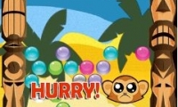 Aloha Monkey