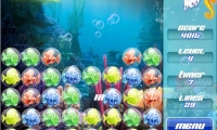 Aqua Pop