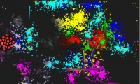 BattlePaint