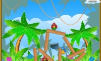 Birds Defenders