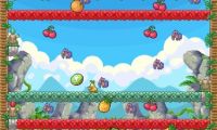 Birdy Fruit