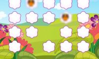Bright Birds Matching